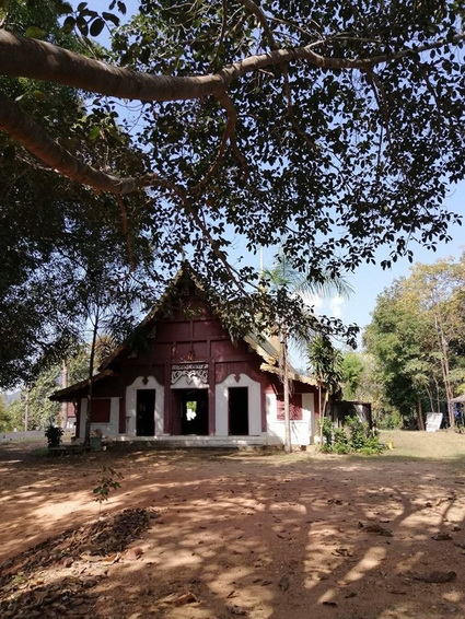 phrao 02_resize.jpg